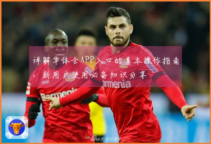 详解华体会APP入口的基本操作指南，新用户使用必备知识分享